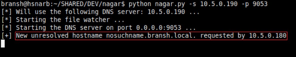 Nagar shows victim attempted to resolve unknown hostname