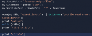 vulnerabilities in programming