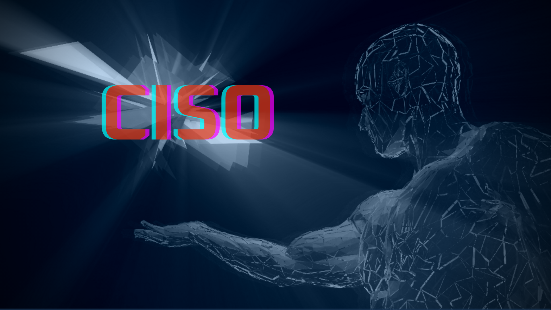 vCISO