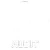 ISO Audit