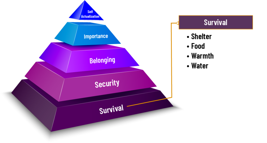 Maslow’s Hierarchy