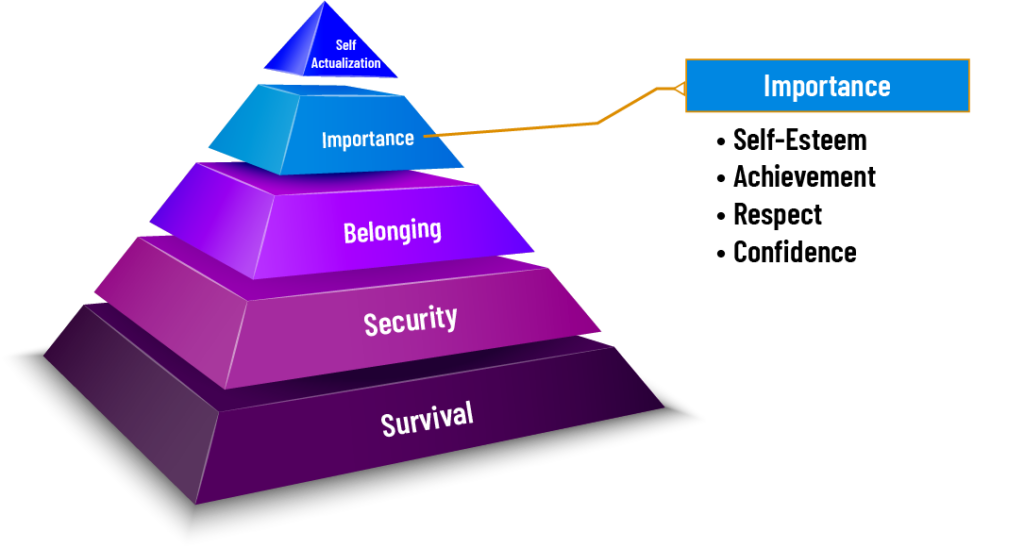 Maslow’s Hierarchy 