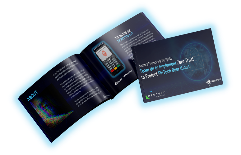 Mercury Financial Case Study